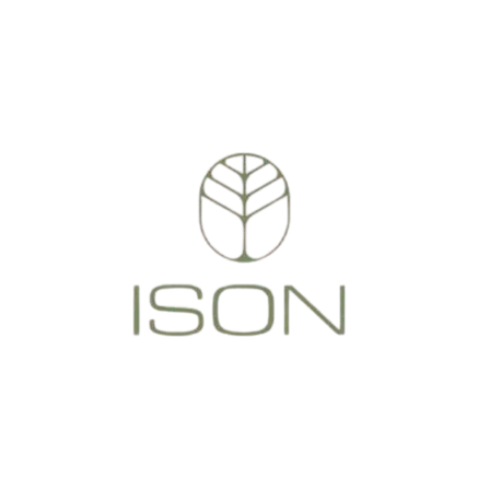 ISON logo png